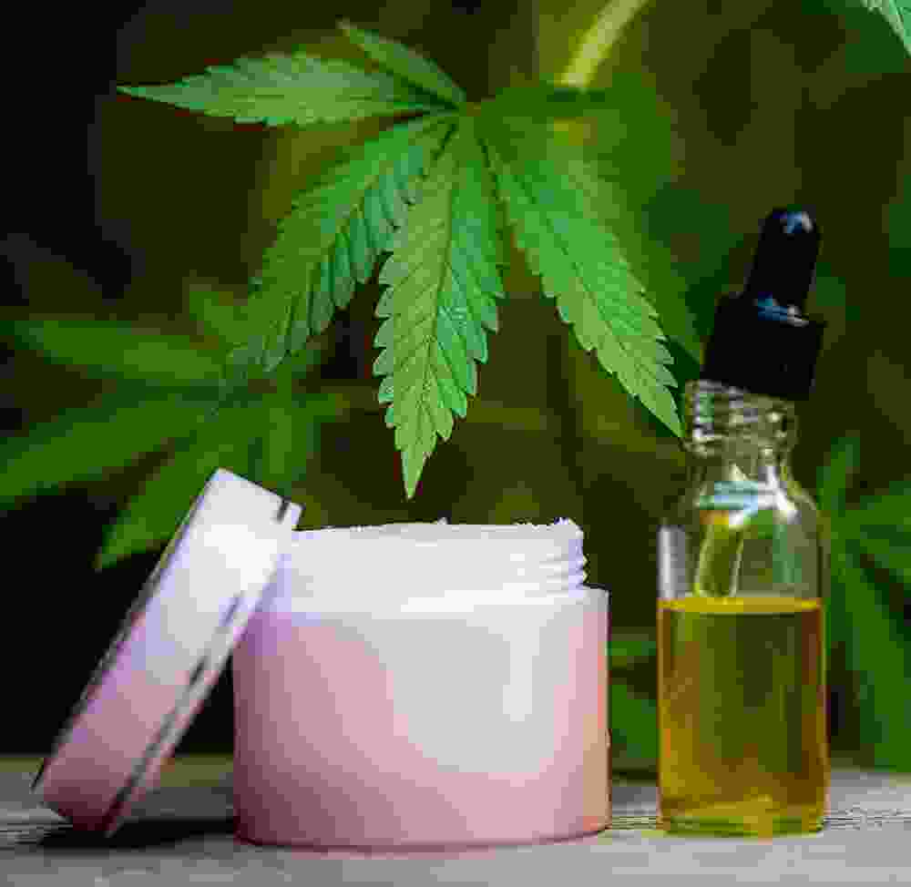 Shop Primary Image Shop Primary Image